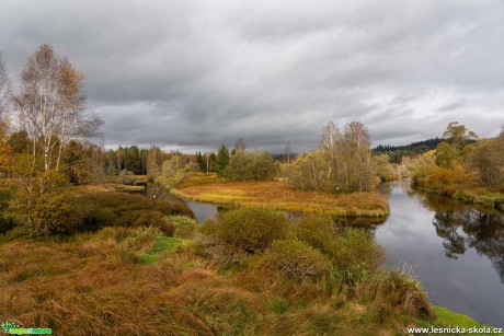 Teplá Vltava - Foto Petr Germanič 1020