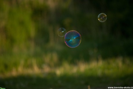 Bublinové hrátky - Foto Tomáš Kunze 1020 (2)
