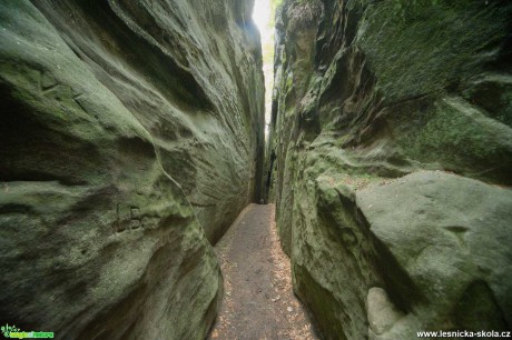 Drábské světničky - Foto Tomáš Kunze 1020 (1)