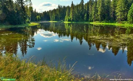 V Jizerkách - Foto Jaroslava Jechová 1020 (1)