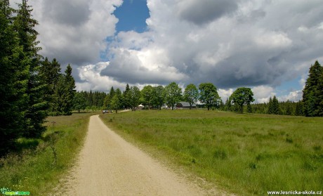 V Jizerkách - Foto Jaroslava Jechová 1020 (2)