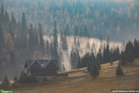 Podzim má paletu pestrou - Foto Jozef Pitoňák 1020 (6)