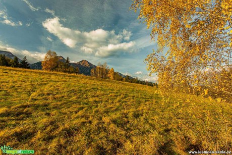 Podzim má paletu pestrou - Foto Jozef Pitoňák 1020 (8)