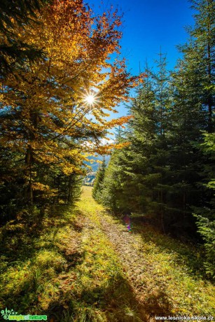 Podzim má paletu pestrou - Foto Jozef Pitoňák 1020 (9)