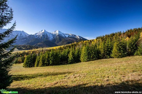 Podzim má paletu pestrou - Foto Jozef Pitoňák 1020 (13)