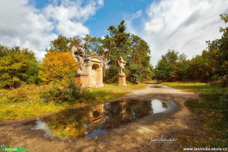 Na podzimní vycházce - Foto Jana Vondráčková 1020