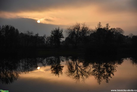 Podvečerní zrcadlení - Foto Marie Vykydalová 1020