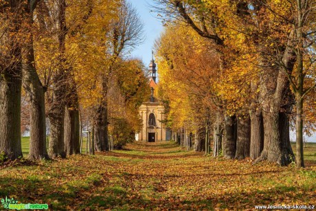 Podzimní alej - Foto Petr Germanič 1120