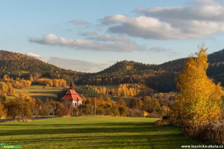 Podzimní zlatá - Foto Petr Germanič 1120