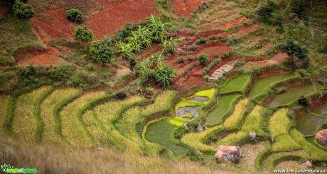 Madagaskar - Foto Ladislav Hanousek 1020 (12)