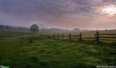 Na pastvinách - Foto Jaroslava Jechová 1020