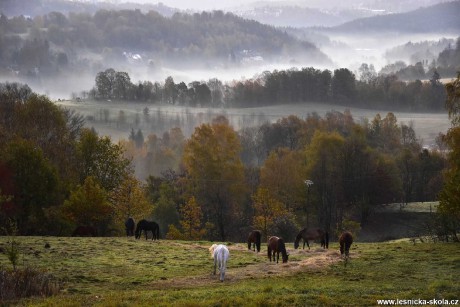 Podzim na pastvinách - Foto Jaroslava Jechová 1020 (2)