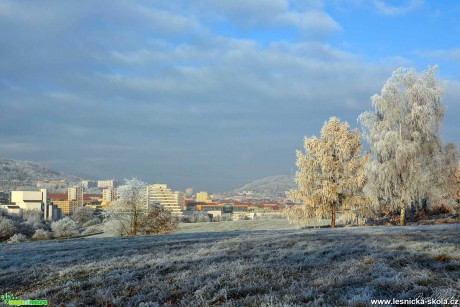 Mrazivé Podkrušnohoří - Foto Pavel Ulrych 1220 (2)