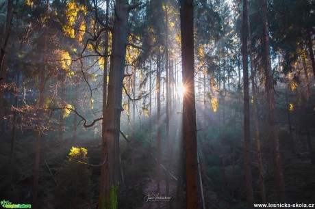 Okno do lesa - Foto Jana Vondráčková 1220