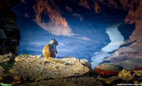 Grand Canyon v Arizoně - Foto Ladislav Hanousek 1220 (5)