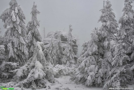 Cestou na Jizeru - Foto Jaroslava Jechová 0121