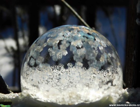 Hrátky s bublinou - Foto Jaroslava Jechová 0221 (1)