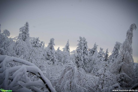 Cínovec v největší letošní zimě - Foto Jan Hlinka 0321  (3)