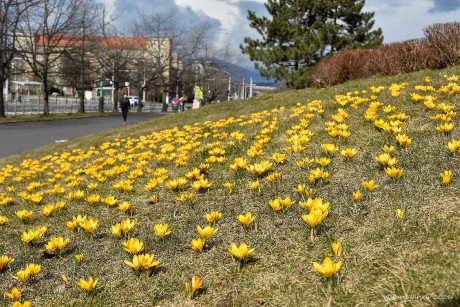 Už to vypadá veseleji - Foto Pavel Ulrych 0321