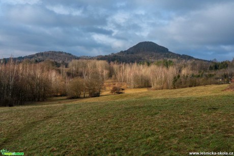 Chotovický kopec - Foto Petr Germanič 0321