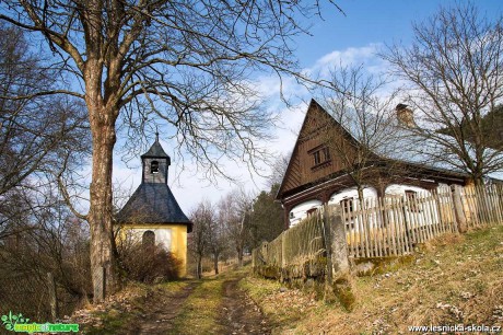 Cestou vesnickou - Foto Jaroslava Jechová 0421