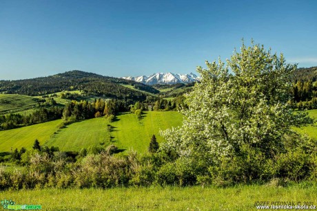 Slovenské hory - Foto Jozef Pitoňák 0521 (4)