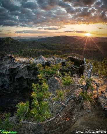 Dřevěná koruna Rudolfovy skály - Foto Filip Holič 0521