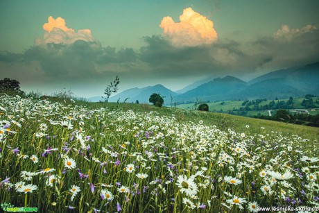 Nádhera slovenských hor - Foto Jozef Pitoňák 0621 (11)