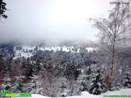 Krkonoše - Foto Jan Jirásek