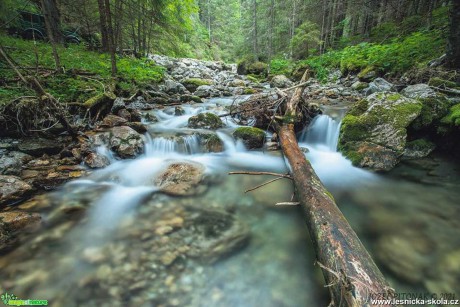 Nádhera slovenských hor - Foto Jozef Pitoňák 0621 (17)