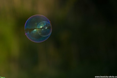 Bublinové hrátky - Foto Tomáš Kunze 1020 (1)