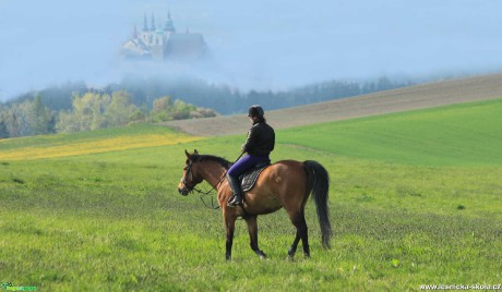 V polích - Foto Ladislav Jonák 0521