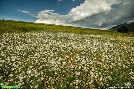 Nádhera slovenských hor - Foto Jozef Pitoňáka 0621 (9)