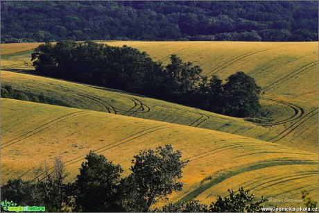 Krajina jižní Moravy - Foto Monika Suržinová 0721 (4)