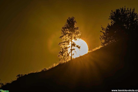 Sluneční koule - Foto Jozef Pitoňák 0721