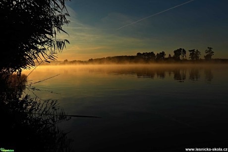 Ráno u rybníka - Foto Rasťo Salčík 0921