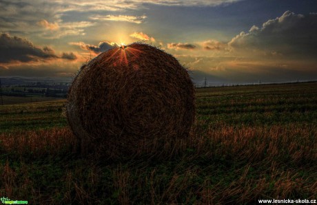 Když pomalu končí léto - Foto Ladislav Jonák 1021