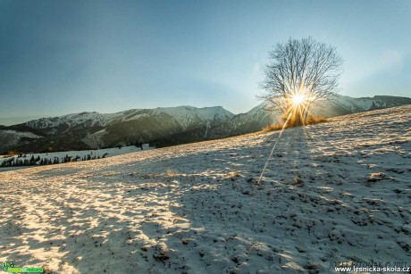 Zima 2021 dorazila - Foto Jozef Pitoňák 1121 (6)