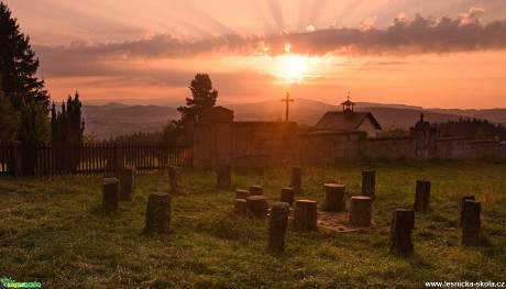 U hřbitovní zdi - Foto Jaroslava Jechová 0921