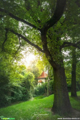 Mnoho podob Čelákovic - Foto Jana Vondráčková 1021