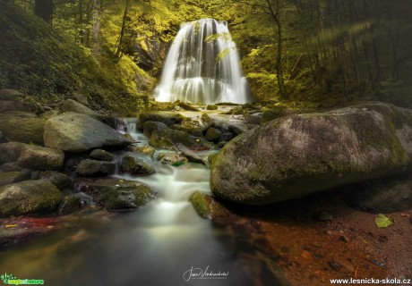 Voda v lesní říši - Foto Jana Vondráčková 1021