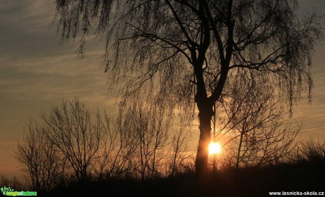 Zimní slunce - Foto Ladislav Jonák 0122