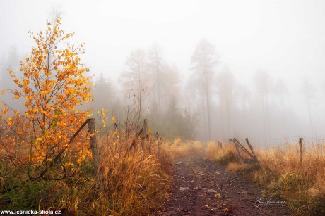 Podzimní nálada - Foto Jana Vondráčková 1121