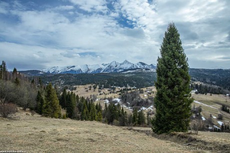 Jaro dorazilo do slovenských hor - Foto Jozef Pitoňák 0322 (11)