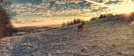 Zimní západ slunce - Foto Adriana Simandlová 0322 (3)