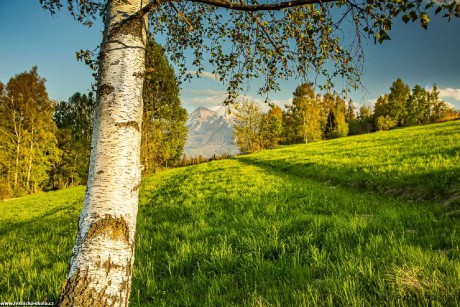 Květen na slovenských horách - Foto Jozef Pitoňák 0522 (5)