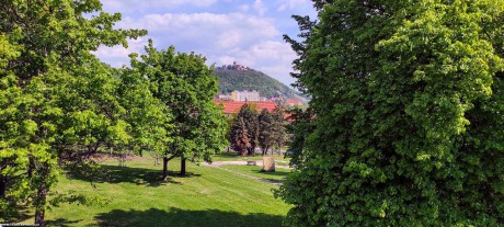 Jarní pohled na Hněvín - Foto Pavel Ulrych 0522