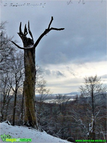 Zima v Polomených horách - Foto Robert Kopecký