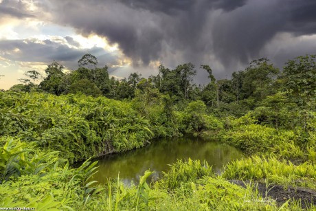 Malajsie - Borneo - Foto Jana Vondráčková 0422 (1)