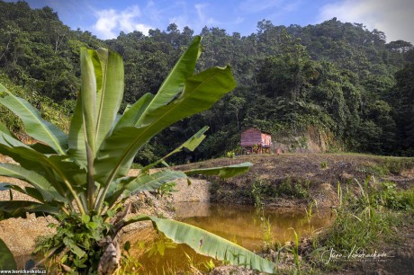 Malajsie - Borneo - Foto Jana Vondráčková 0422 (15)